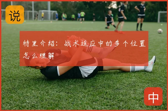 特里介绍:战术适应中的多个位置怎么理解