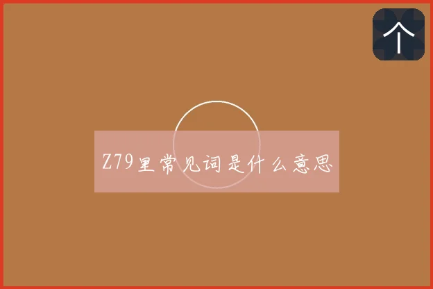 Z79里常见词是什么意思