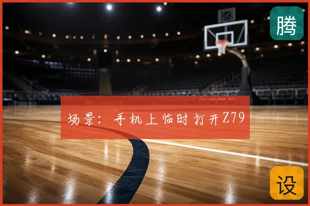 场景：手机上临时打开Z79